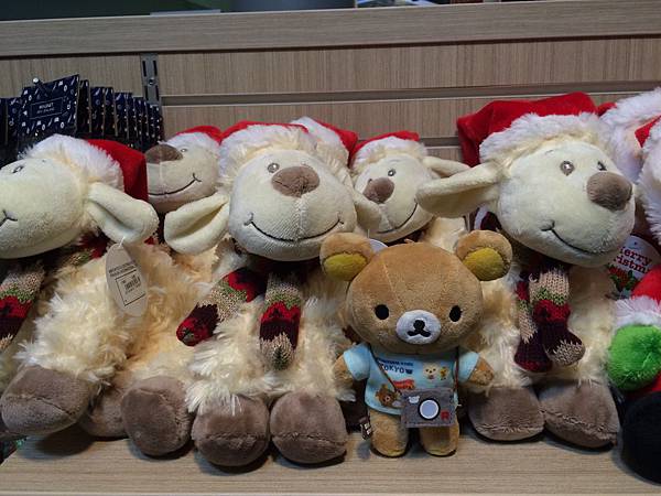 IMG_5049 IMG_5049