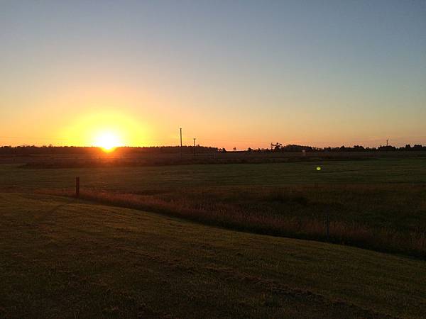 IMG_6467 IMG_6467
