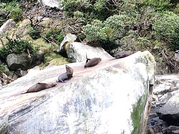 IMG_7137 IMG_7137