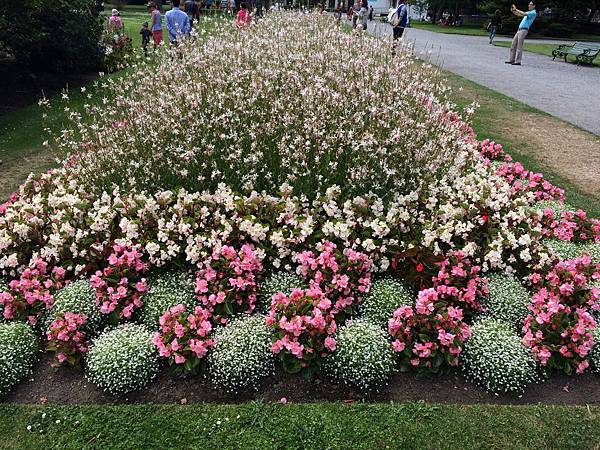 IMG_7940 IMG_7940
