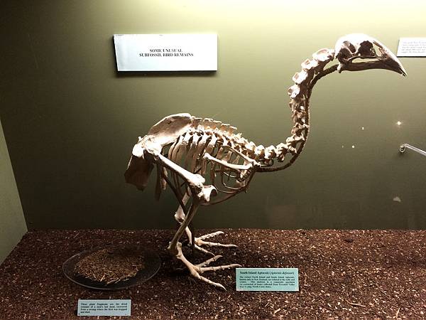 IMG_8010 IMG_8010