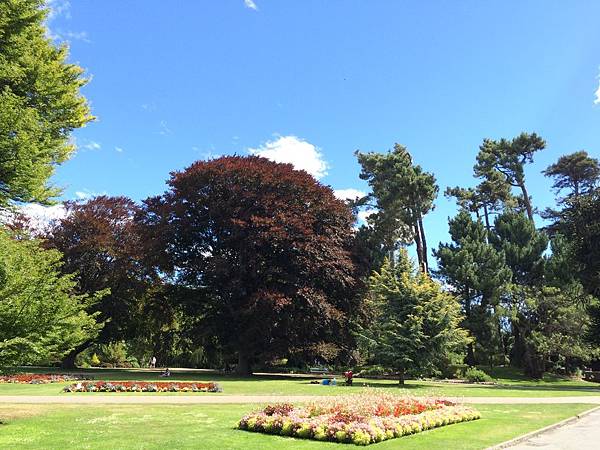 IMG_8050 IMG_8050