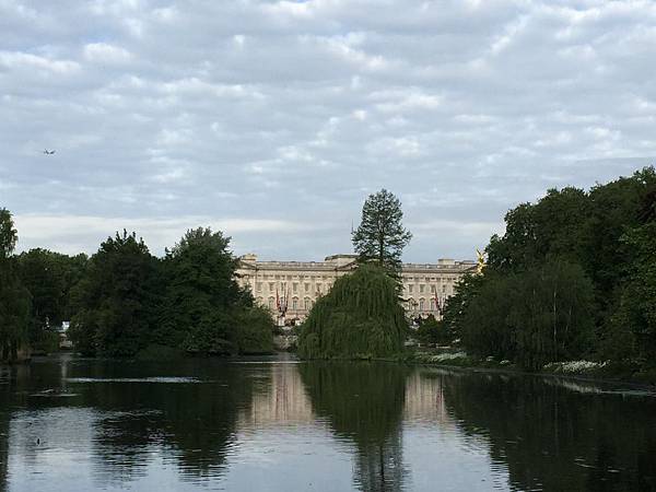 IMG_1100 IMG_1100