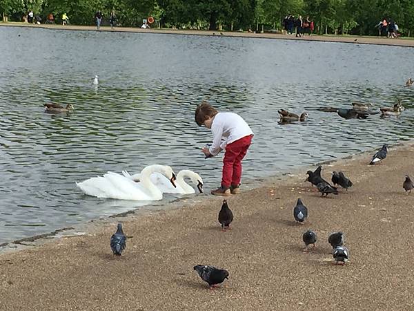 IMG_2402 IMG_2402