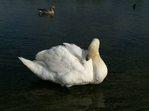 IMG_2412 IMG_2412