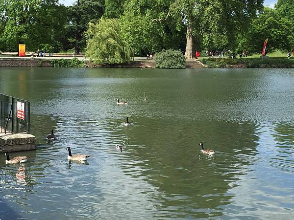 IMG_3459 IMG_3459