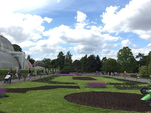IMG_3524 IMG_3524