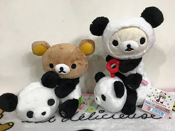 11880533_935791879797665_7409886931867668539_n