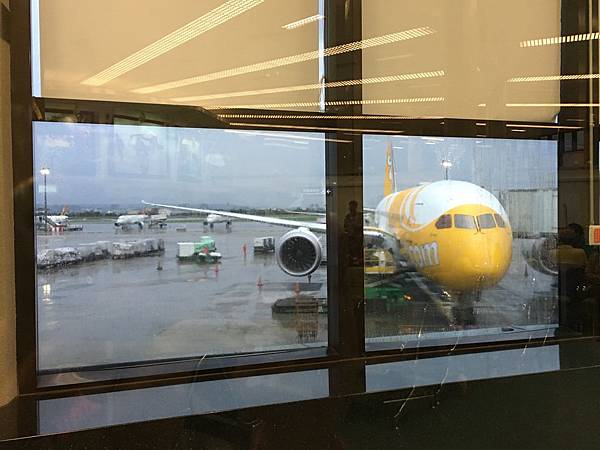 IMG_2318 IMG_2318