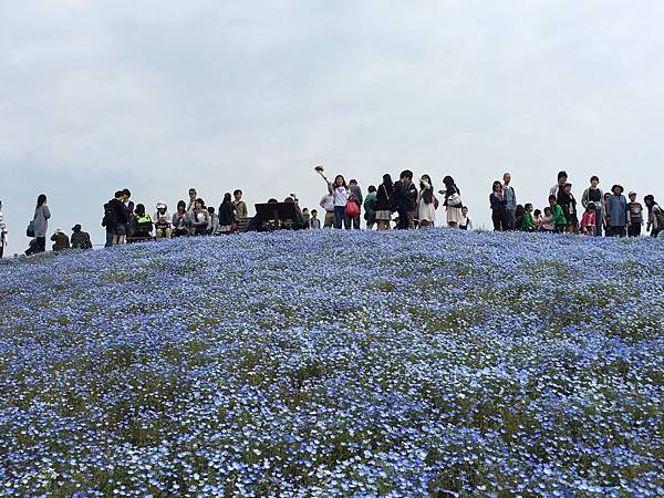 IMG_4416 IMG_4416