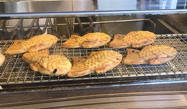 17778696_120300002947666517_737922322_o