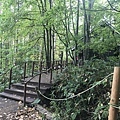 IMG_6456