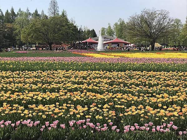 富山縣高岡 12 拜訪哆啦a夢的故鄉及日本第一美男高岡大佛 呼米 ふみ 的部落格 痞客邦 富山縣高岡 12 拜訪哆啦a夢的故鄉及日本第一美男高岡大佛 呼米 ふみ 的部落格 痞客邦