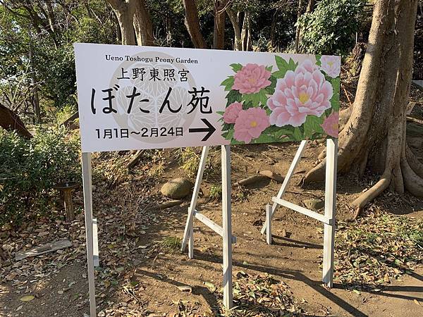 19東京賞 花中之王 3 上野東照宮牡丹花祭 呼米 ふみ 的部落格 痞客邦 19東京賞 花中之王 3 上野東照宮牡丹花祭 呼米 ふみ 的部落格 痞客邦