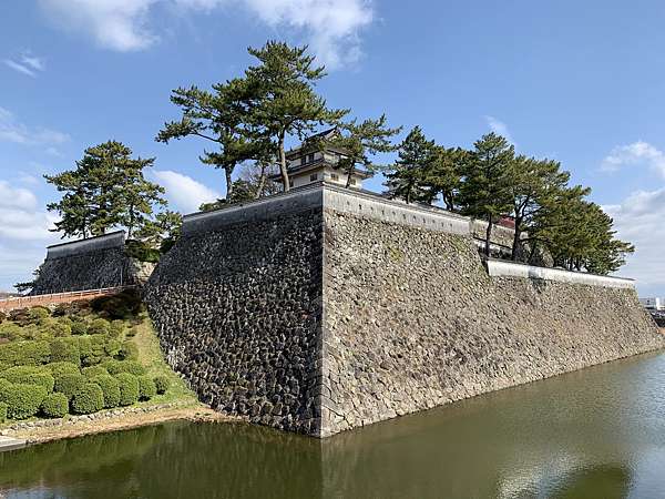 九州完結篇 9 島原城梅花滿開 搭遊輪餵食海鷗回熊本 呼米 ふみ 的部落格 痞客邦