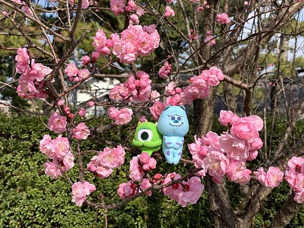 呼米 ふみ 的部落格 痞客邦