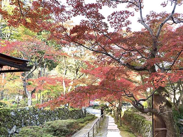 滋賀賞楓必遊 14 湖東三山之金剛輪寺 西明寺 呼米 ふみ 的部落格 痞客邦