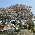 IMG_4825.jpg