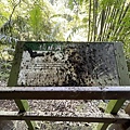 IMG_1499.jpg