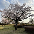IMG_8683.jpg