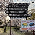 IMG_8681.jpg