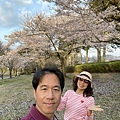 IMG_8728.jpg