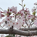 IMG_8928.jpg