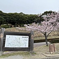 IMG_8927.jpg