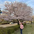 IMG_8736.jpg