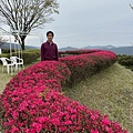IMG_8955.jpg