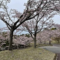 IMG_8970.jpg