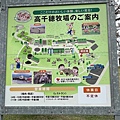 IMG_9173.jpg