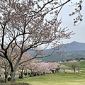 IMG_9216.jpg