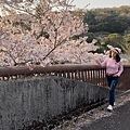 IMG_E1355.jpg