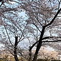IMG_E1359.jpg