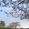 IMG_E1367.jpg