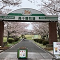 IMG_E1392.jpg