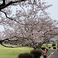 IMG_E1393.jpg