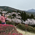 IMG_E8960.jpg
