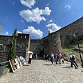 IMG_5124.jpg