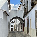 IMG_5249.jpg