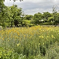 IMG_3061.jpg