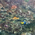 IMG_3792.jpg