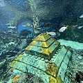 IMG_3798.jpg