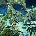 IMG_3821.jpg