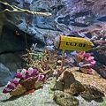 IMG_3827.jpg