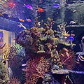 IMG_3898.jpg