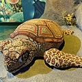 IMG_3911.jpg
