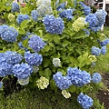 IMG_3964.jpg