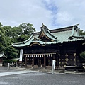 IMG_3992.jpg